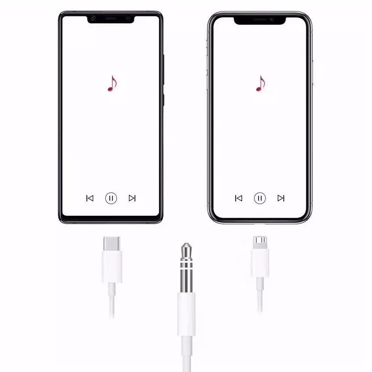2-in-1 USB-C & L to 3.5mm AUX Audio Cable Converter for Speakers & Smartphones - Image 2