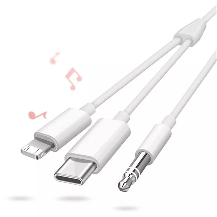 2-in-1 USB-C & L to 3.5mm AUX Audio Cable Converter for Speakers Smartphone - Image 2